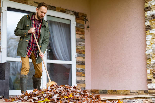 Best Electronics Removal Services  in Kingsley, IA