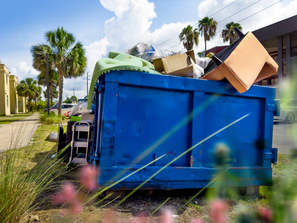 Yard Cleanup Services in Kingsley, IA